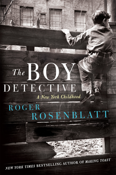 Cover image for book The Boy Detective