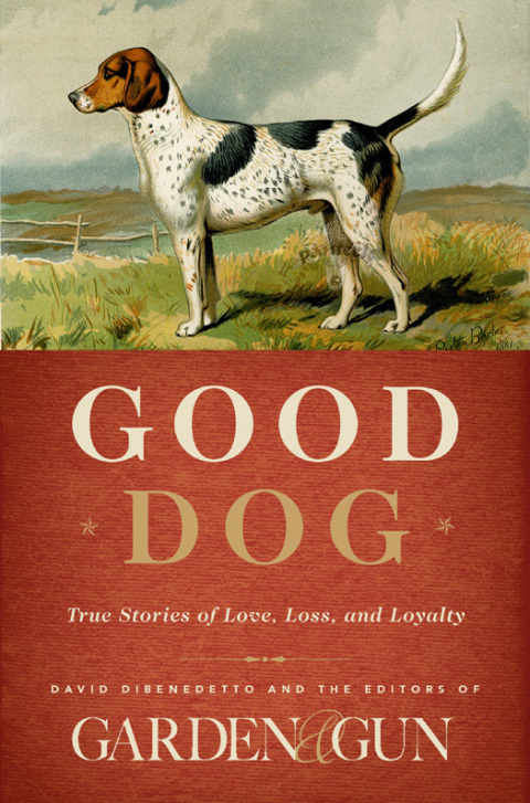 Cover image for book Good Dog