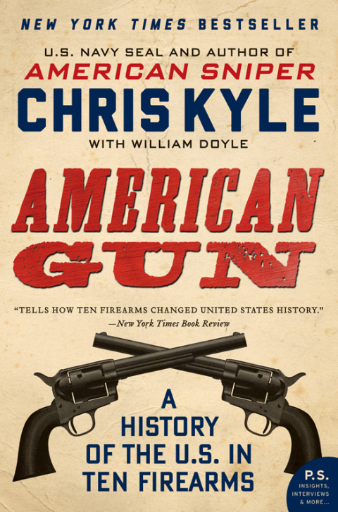 Cover image for book American Gun