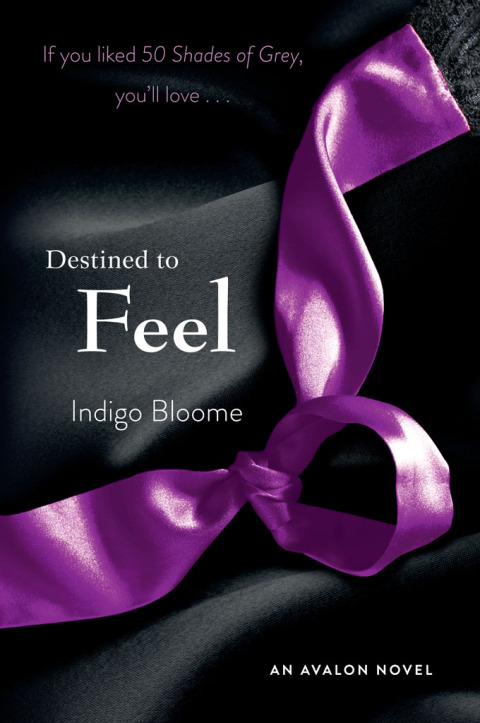 Cover image for book Destined to Feel