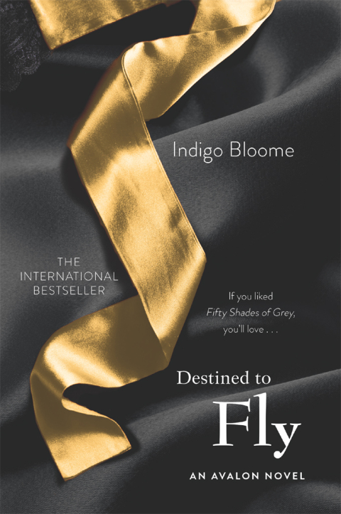Cover image for book Destined to Fly