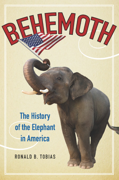 Cover image for book Behemoth