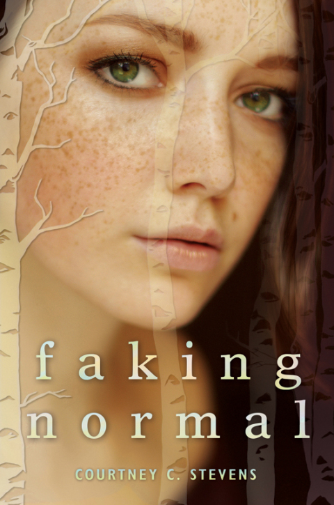 Cover image for book Faking Normal