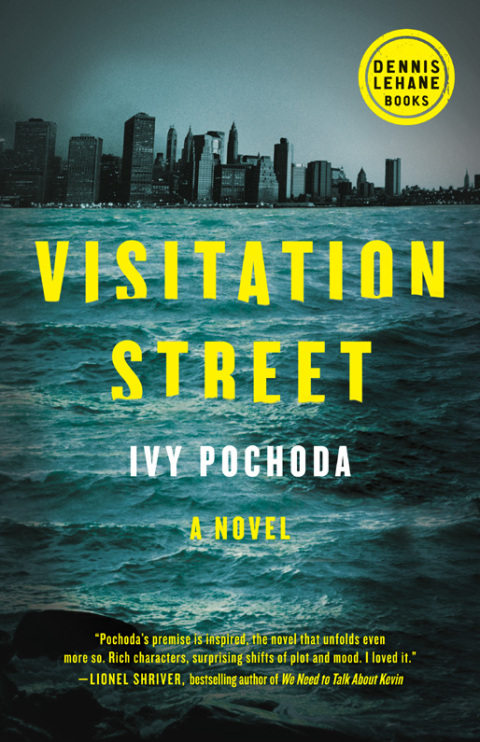 Cover image for book Visitation Street