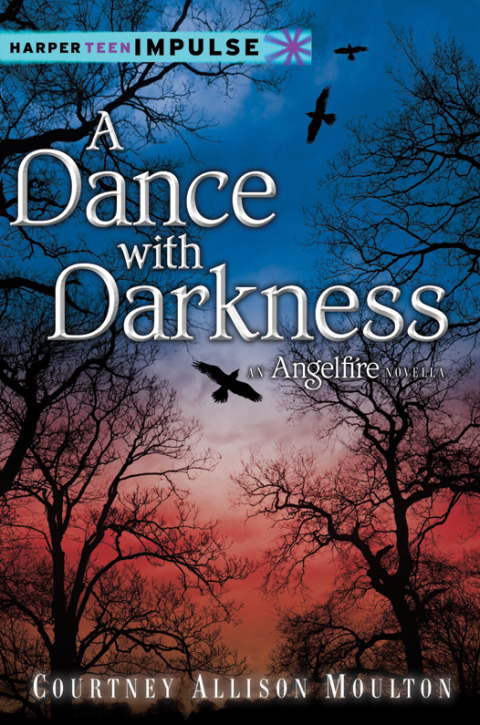 Cover image for book A Dance with Darkness
