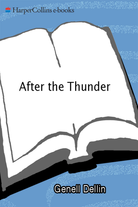 Cover image for book After the Thunder