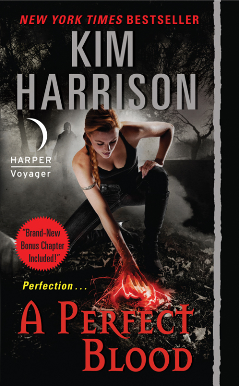 Cover image for book A Perfect Blood with Bonus Material