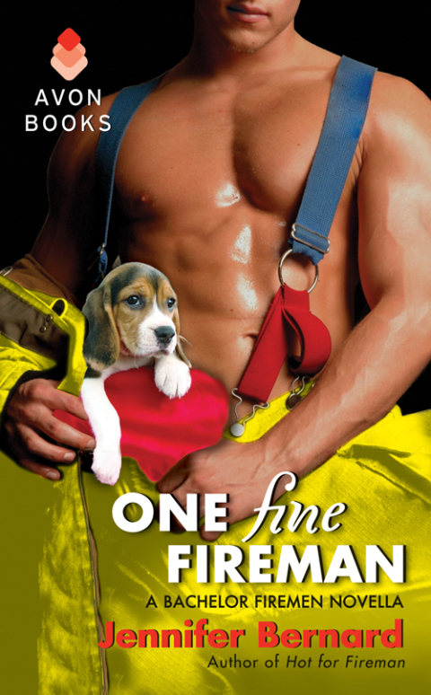 Cover image for book One Fine Fireman