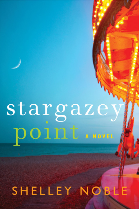 Cover image for book Stargazey Point