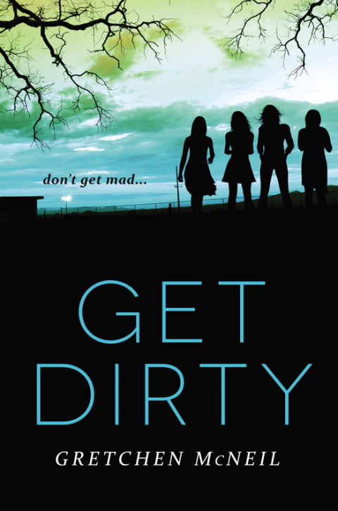 Cover image for book Get Dirty
