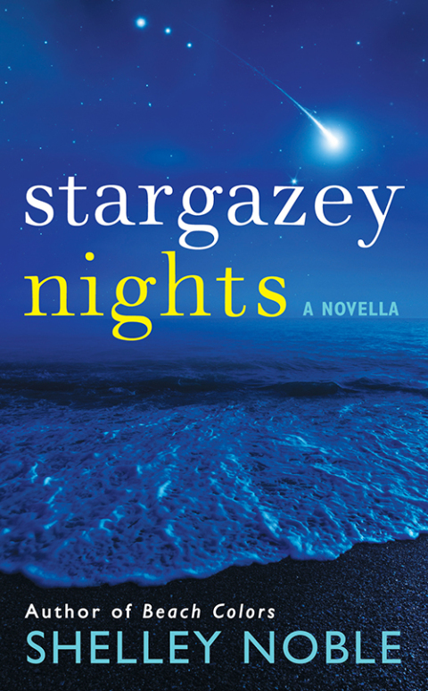 Cover image for book Stargazey Nights