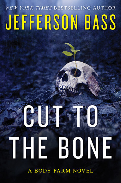 Cover image for book Cut to the Bone