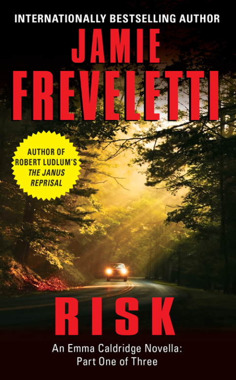 Cover image for book Risk