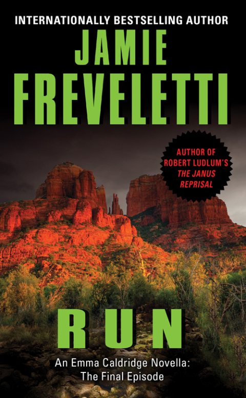 Cover image for book Run