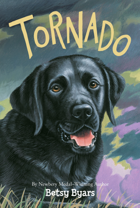 Cover image for book Tornado
