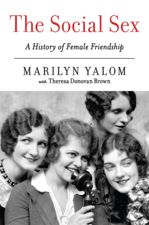 Cover image for book The Social Sex