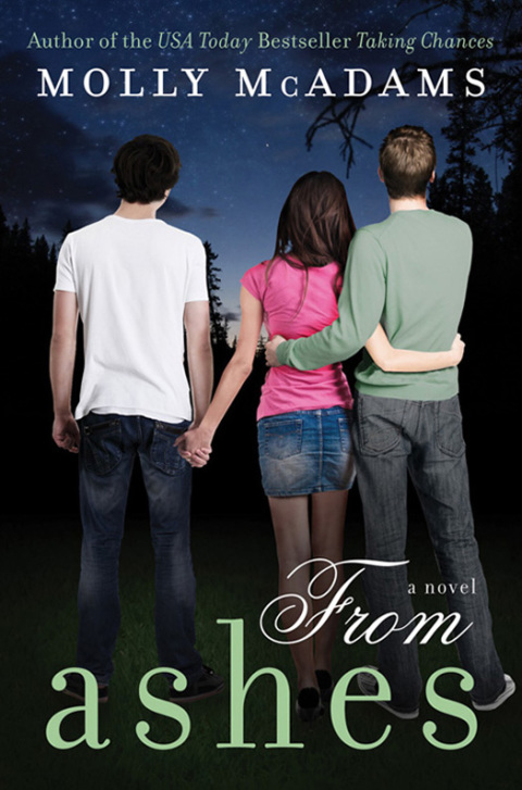Cover image for book From Ashes
