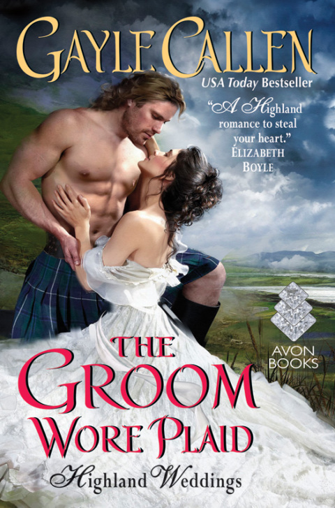 Cover image for book The Groom Wore Plaid