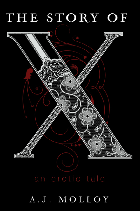 Cover image for book The Story of X