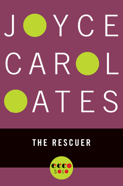 Cover image for book The Rescuer