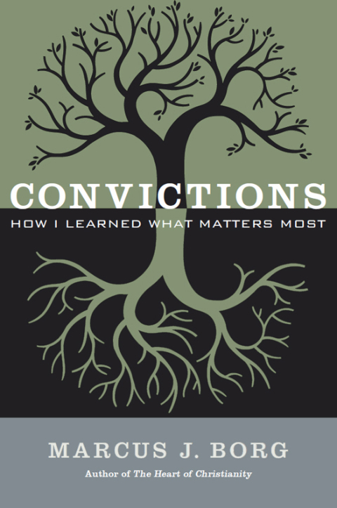 Cover image for book Convictions