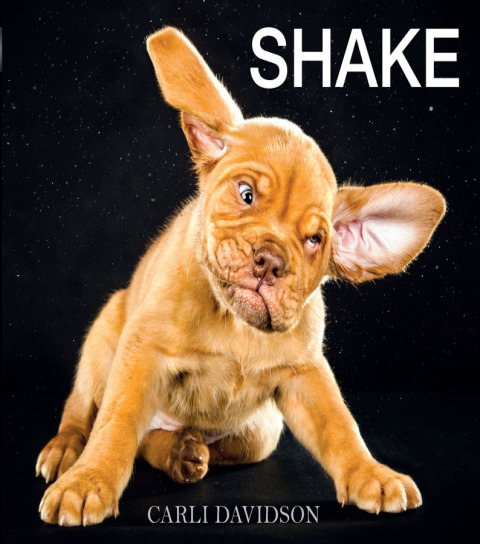 Cover image for book Shake