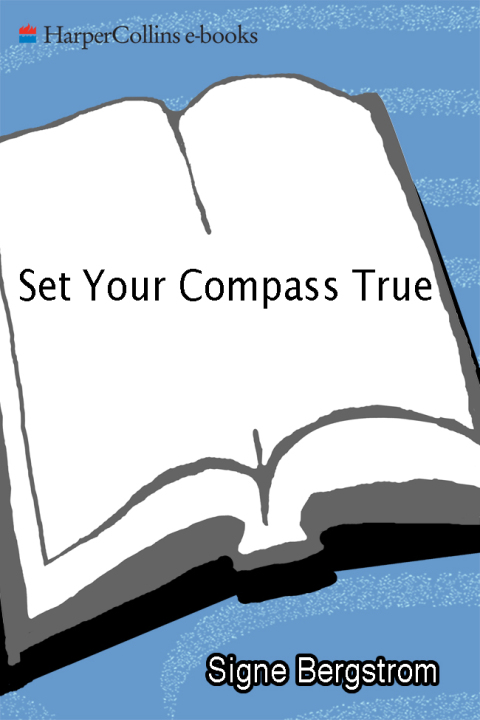 Cover image for book Set Your Compass True