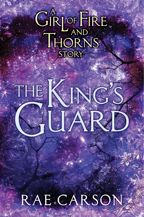 Cover image for book The King's Guard