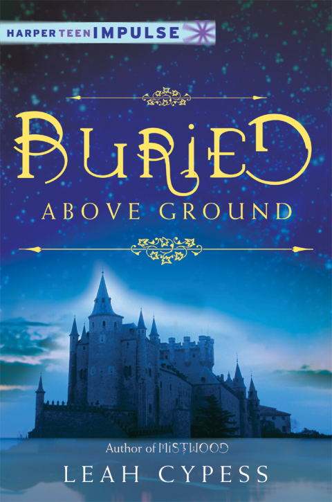 Cover image for book Buried Above Ground