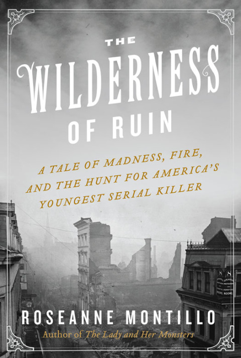 Cover image for book The Wilderness of Ruin