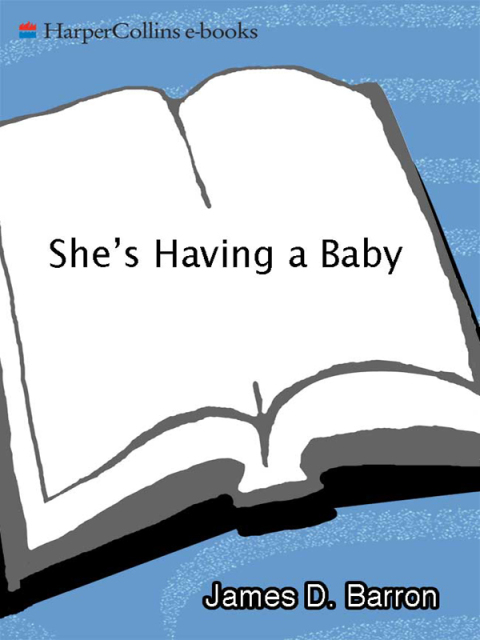 Cover image for book She's Having a Baby