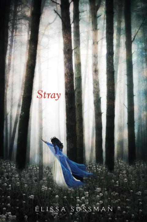 Cover image for book Stray