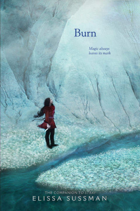 Cover image for book Burn