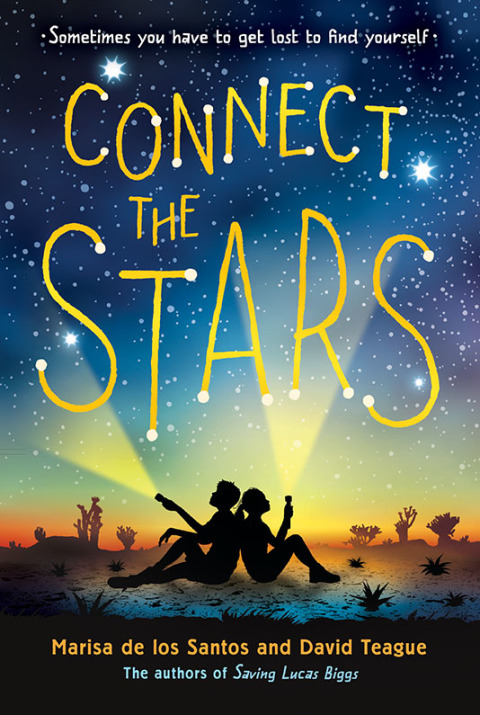 Cover image for book Connect the Stars