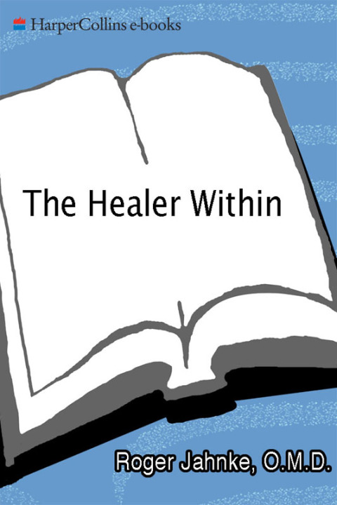 Cover image for book The Healer Within