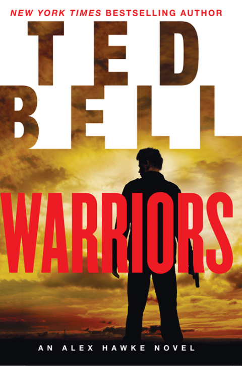 Cover image for book Warriors