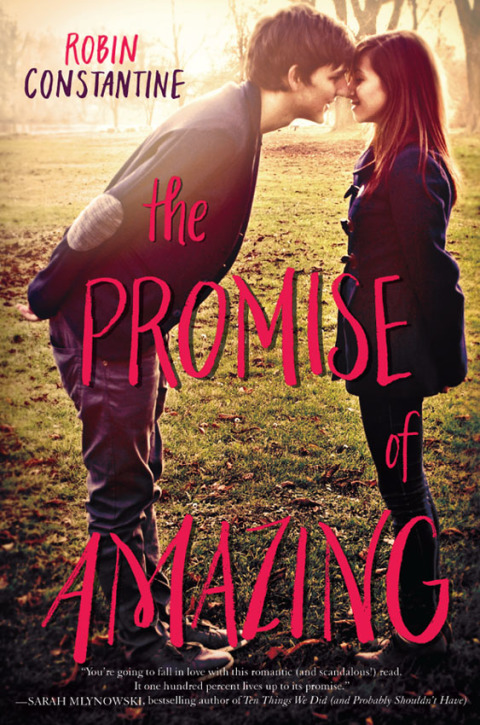 Cover image for book The Promise of Amazing