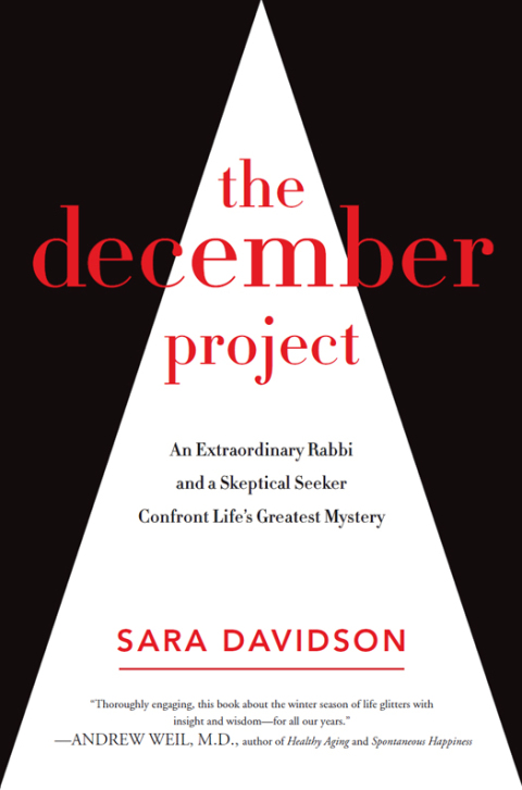 Cover image for book The December Project