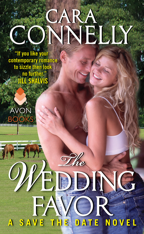 Cover image for book The Wedding Favor