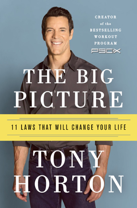Cover image for book The Big Picture
