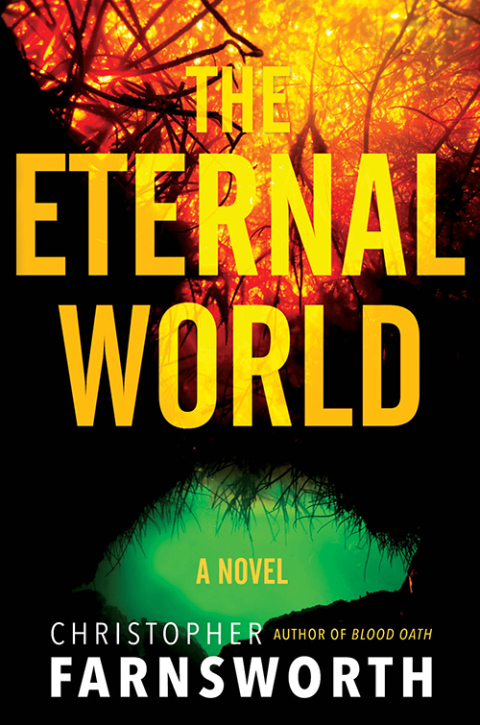 Cover image for book The Eternal World