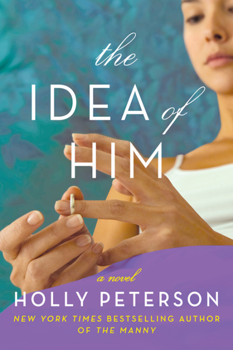 Cover image for book The Idea of Him