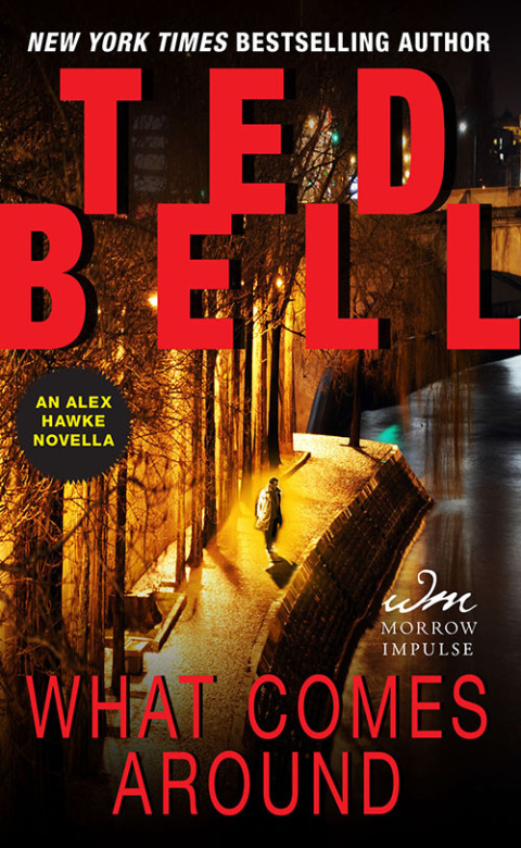 Cover image for book What Comes Around