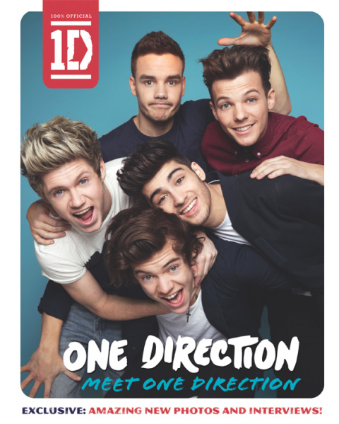 Cover image for book One Direction: Meet One Direction