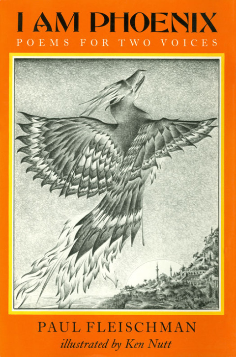 Cover image for book I Am Phoenix