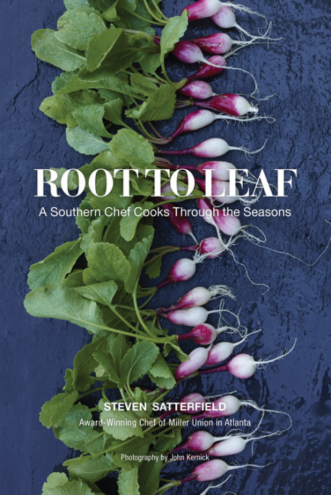 Cover image for book Root to Leaf