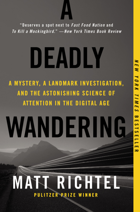 Cover image for book A Deadly Wandering