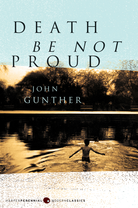 Cover image for book Death Be Not Proud