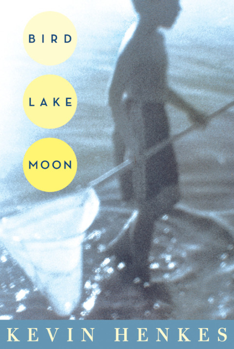 Cover image for book Bird Lake Moon