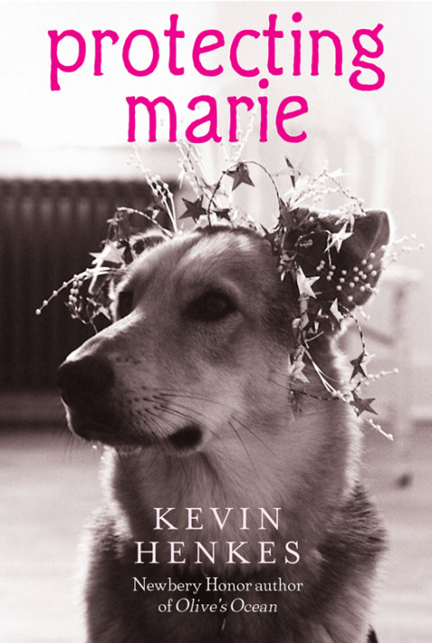 Cover image for book Protecting Marie
